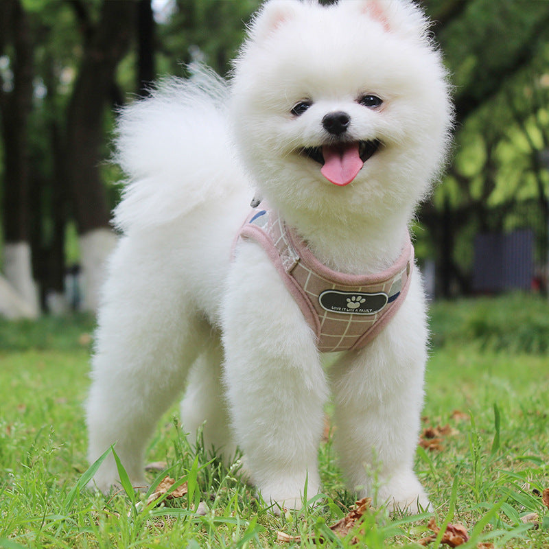Dog Harness Breathable Mesh Small Dog Harness and Leash