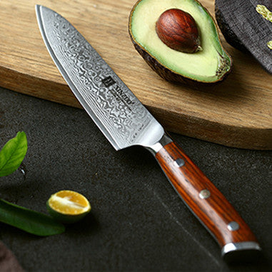 Fruit Knife Damascus Steel Universal Knife Fruit Knife