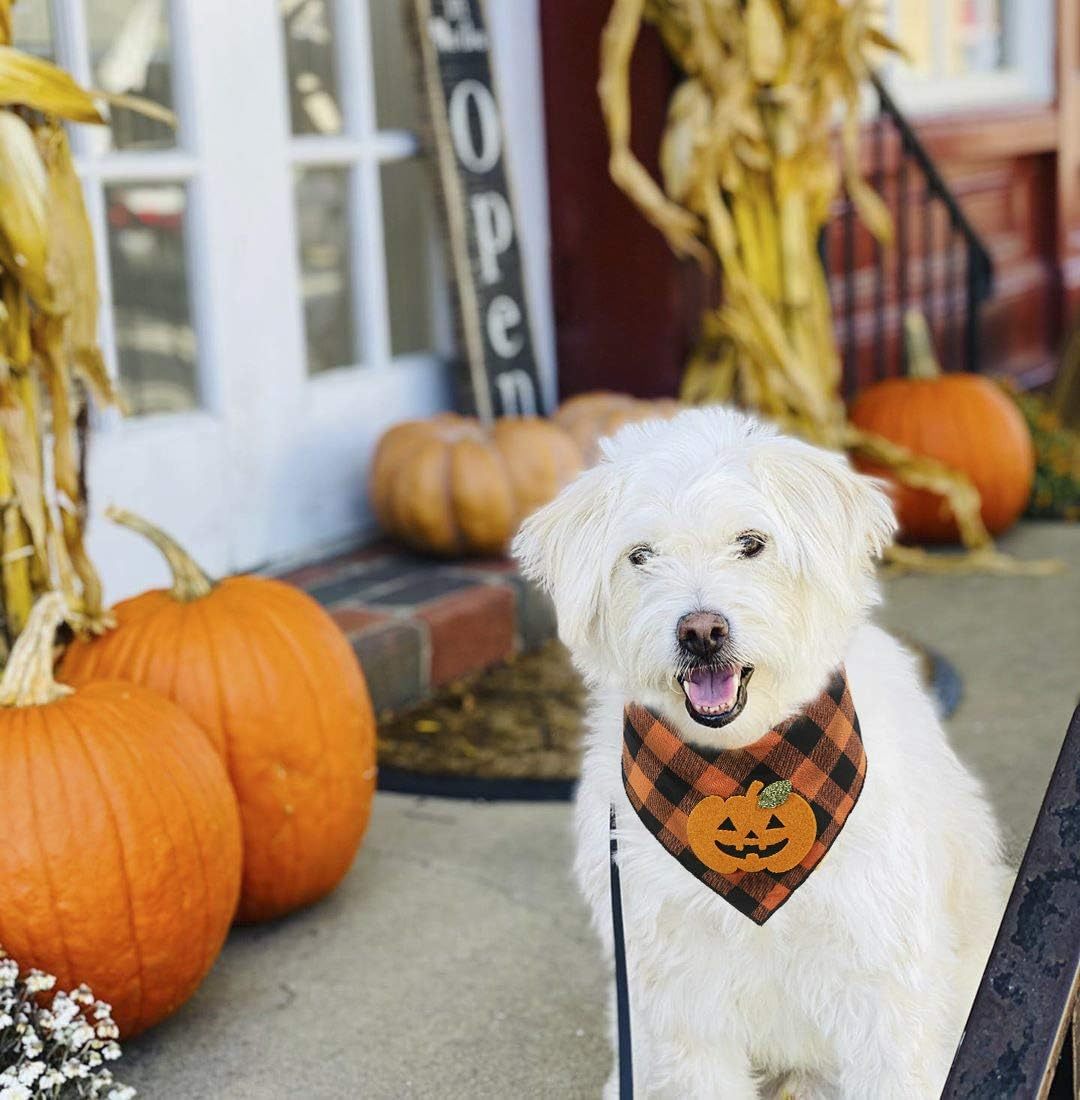 Bandana Halloween Dog Plaid Bandana With Pumpkin Appliques,Pet Dog Puppy Holiday Scarf