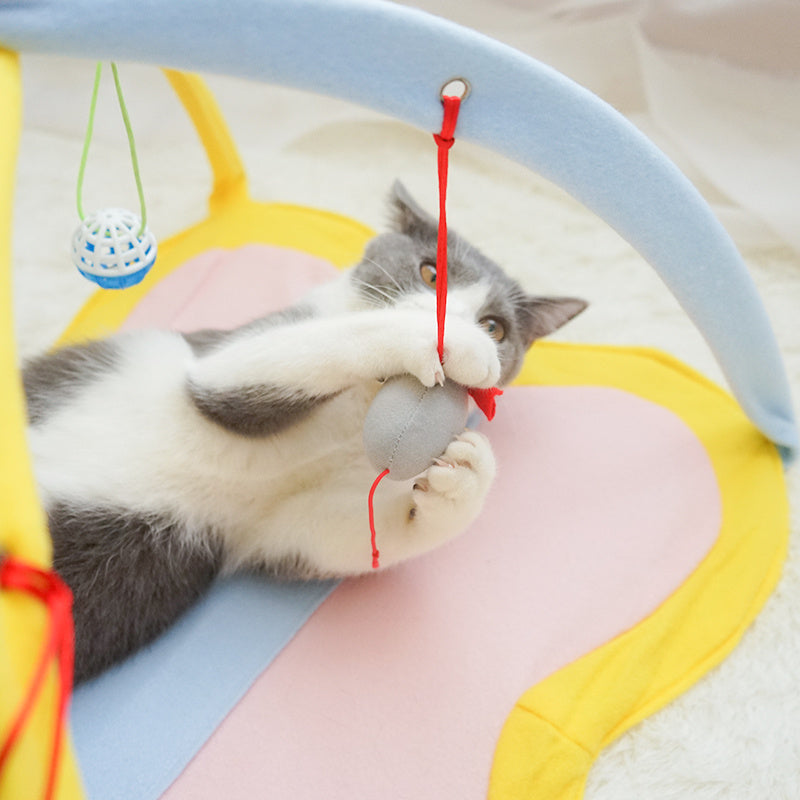 Cat Toy Funny Cat Stick