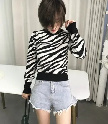 Zebra Sweater Autumn And Winter Wear Long Sleeves