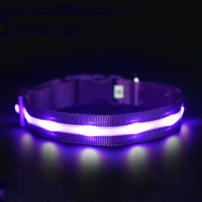 Luminous collar night pet USB charging