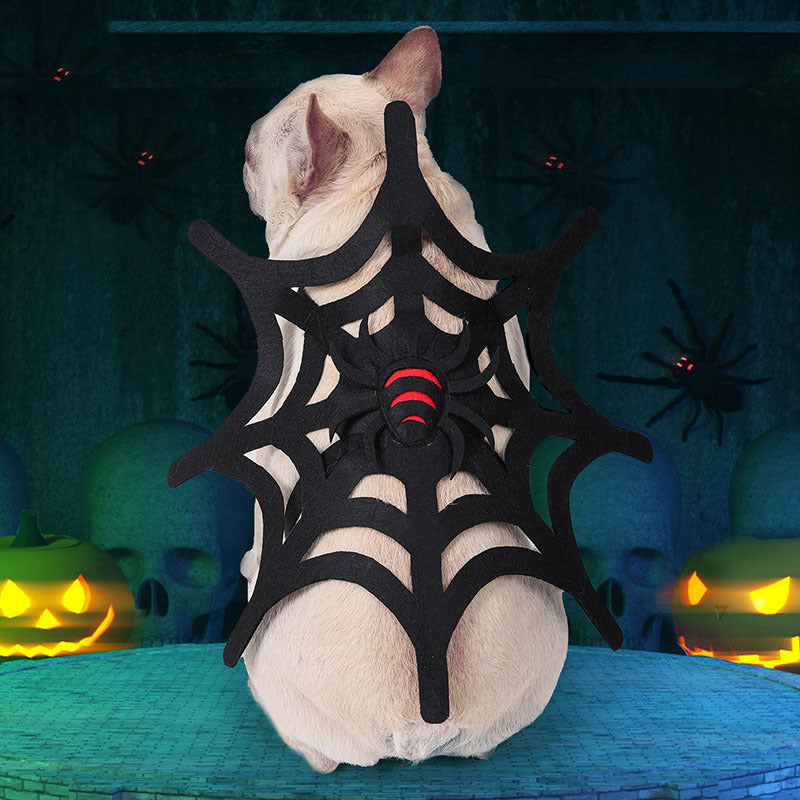 Halloween Cat Dog Spider Web Makeover