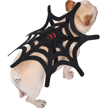 Halloween Cat Dog Spider Web Makeover