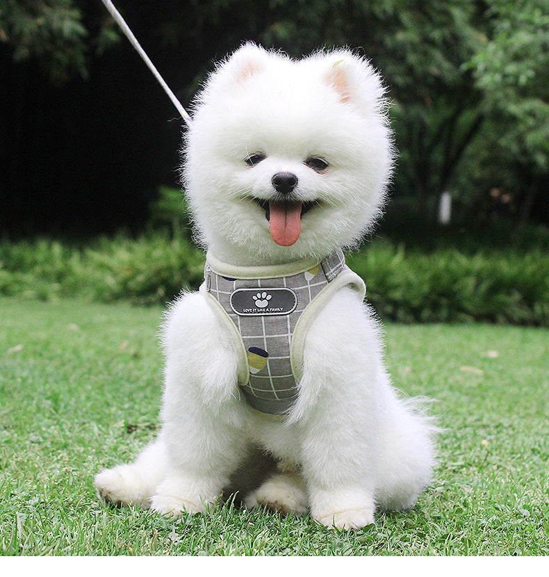 Dog Harness  Breathable Mesh Small Dog Harness and Leash