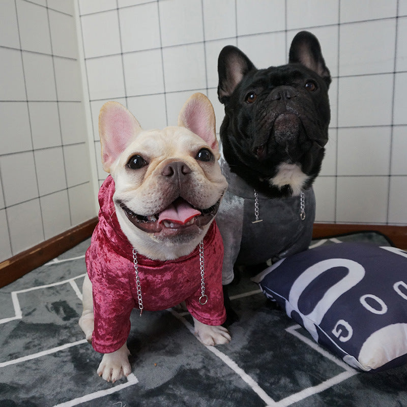 Small dog with fleece hoodie