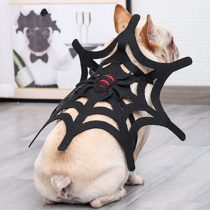 Halloween Cat Dog Spider Web Makeover