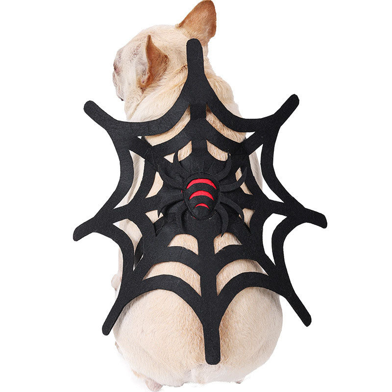 Halloween Cat Dog Spider Web Makeover