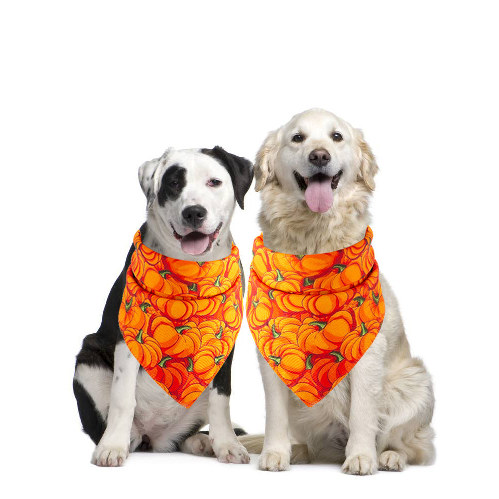 Halloween pet saliva towel