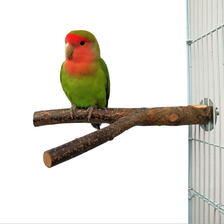 Bird Cage Bird Standing Frame Rattan Ring Chewing Toy Bird Cage