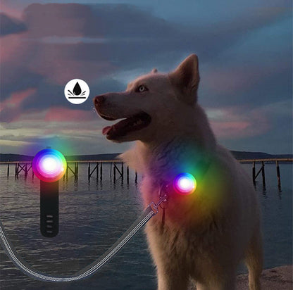 Watch Strap Charging Pet To Prevent Loss At Night